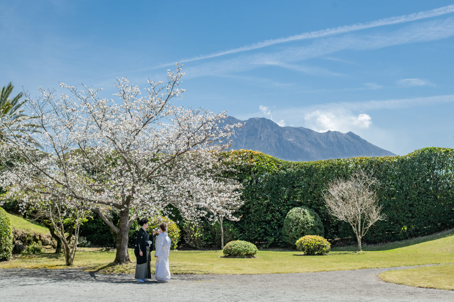 鹿児島で撮るなら仙巌園♪