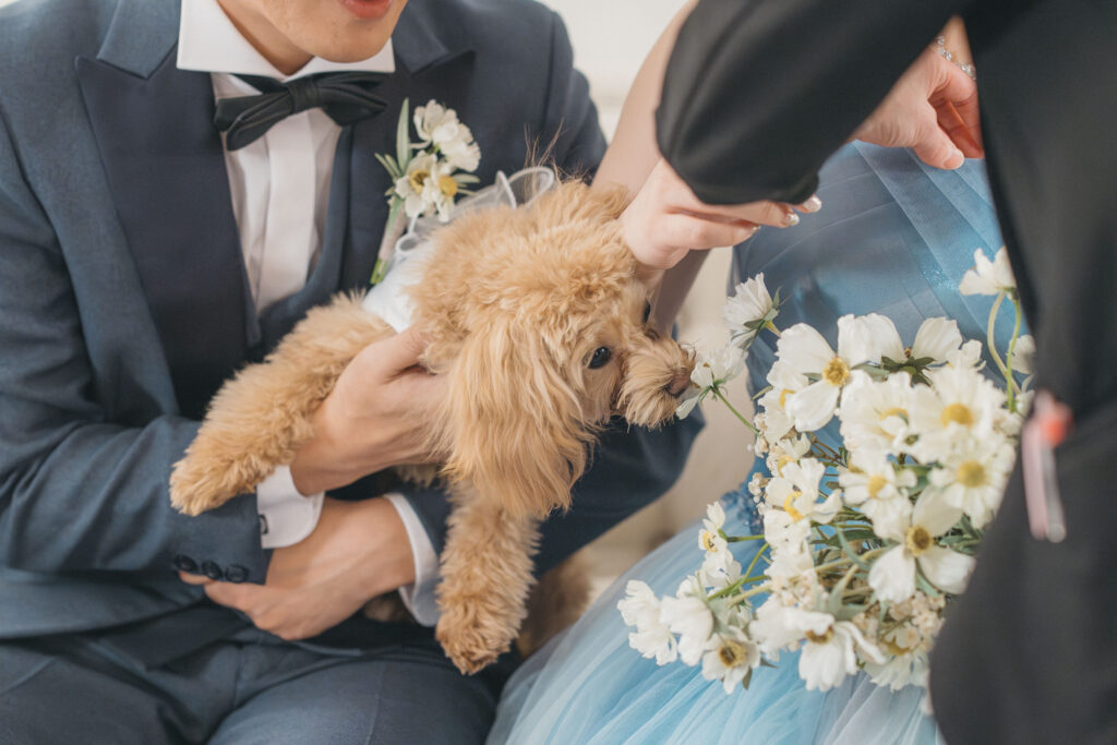 愛犬と一緒に＊3着で楽しむ後撮りフォト