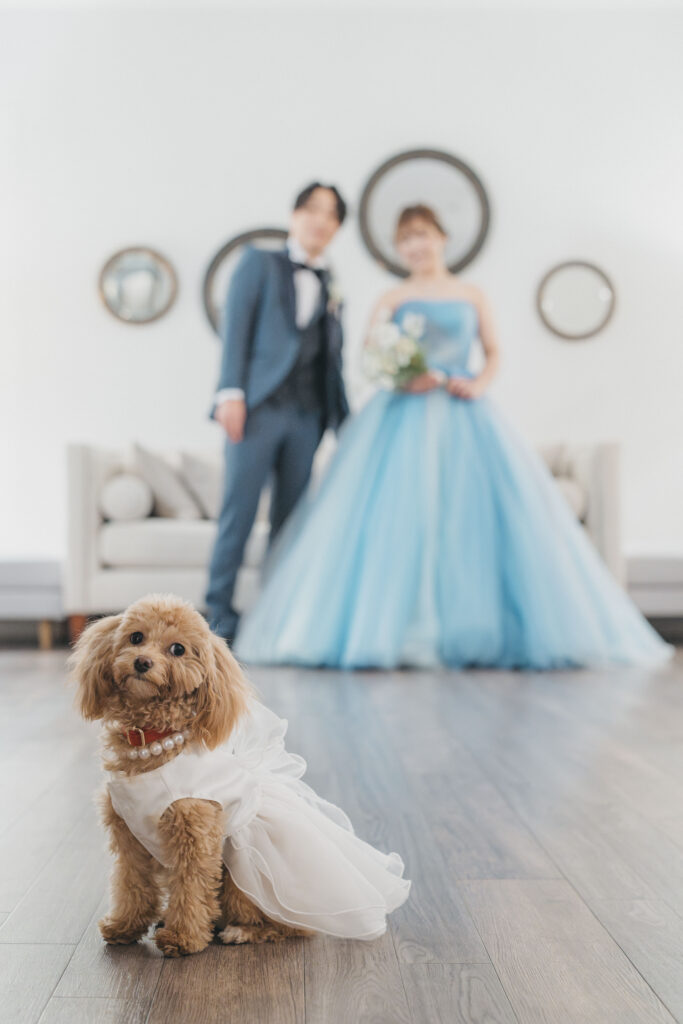 愛犬と一緒に＊3着で楽しむ後撮りフォト