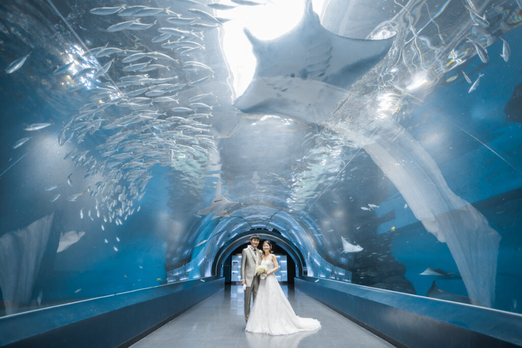 【洋装】水族館でナチュラルなフォトウエディング！