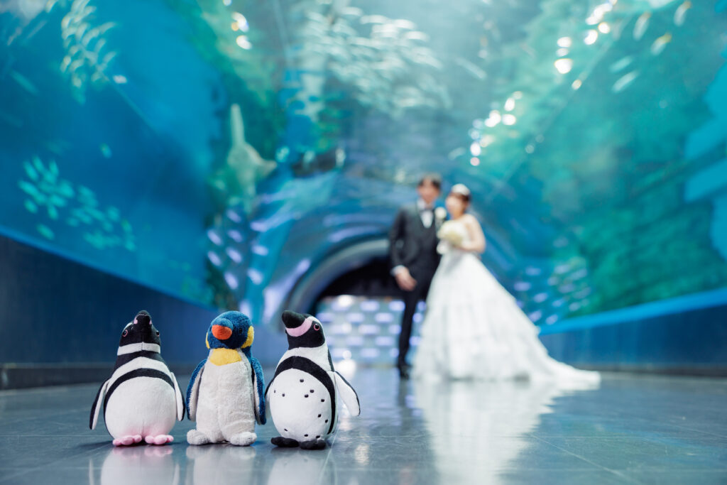 【洋装】最高の笑顔で水族館フォト♪