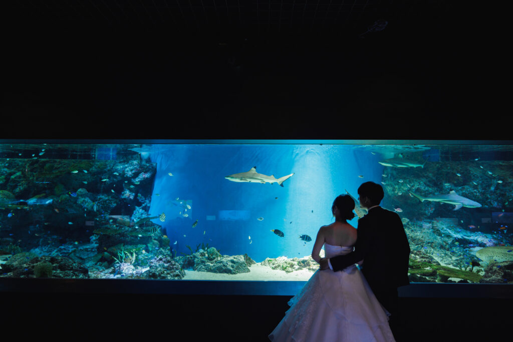 【洋装】最高の笑顔で水族館フォト♪