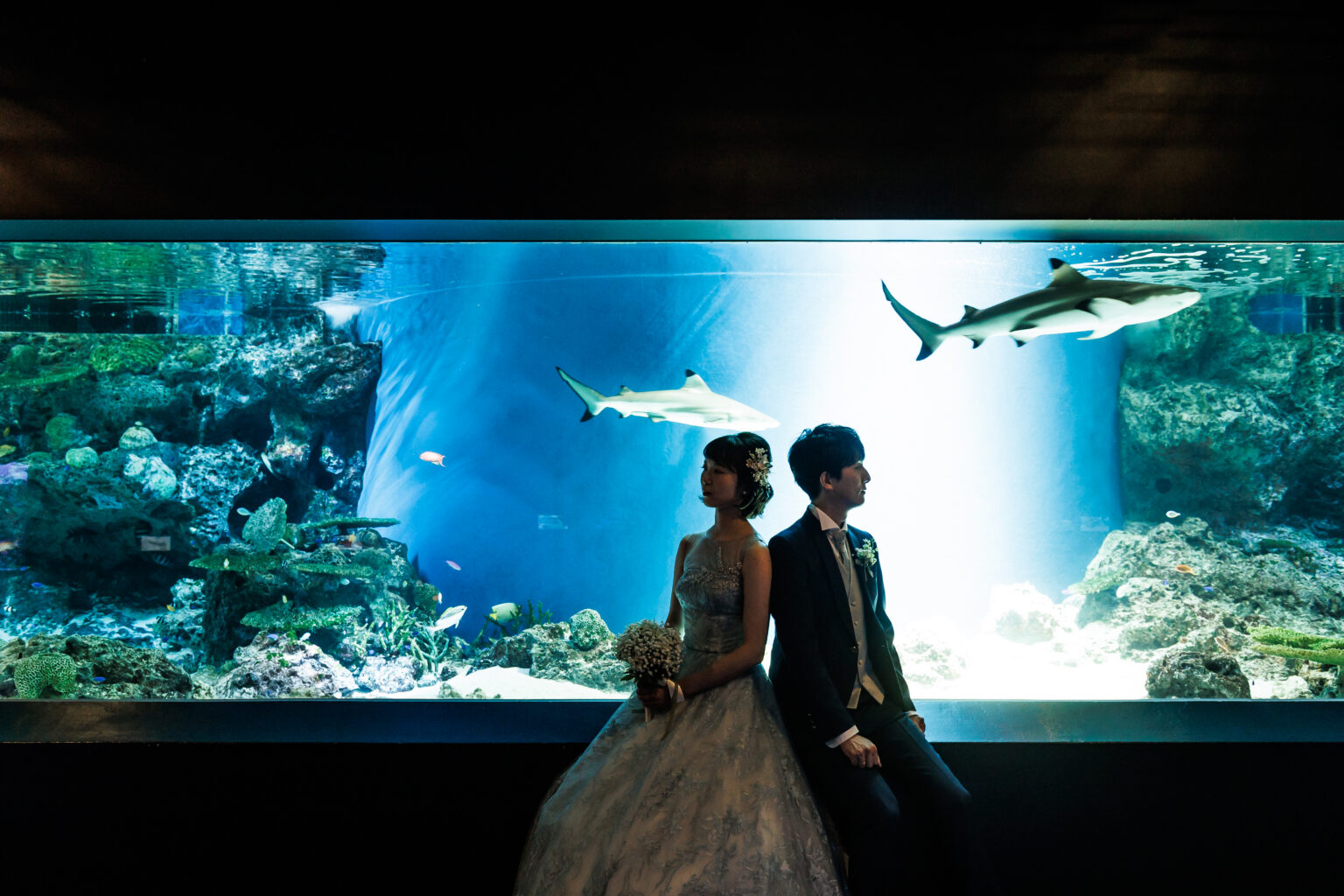 ドレス×水族館　　幻想的な世界