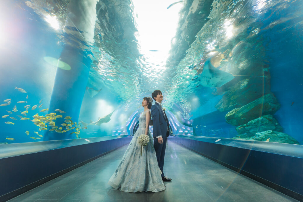 ドレス×水族館　　幻想的な世界