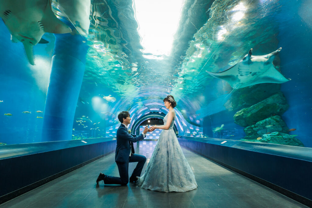 ドレス×水族館　　幻想的な世界