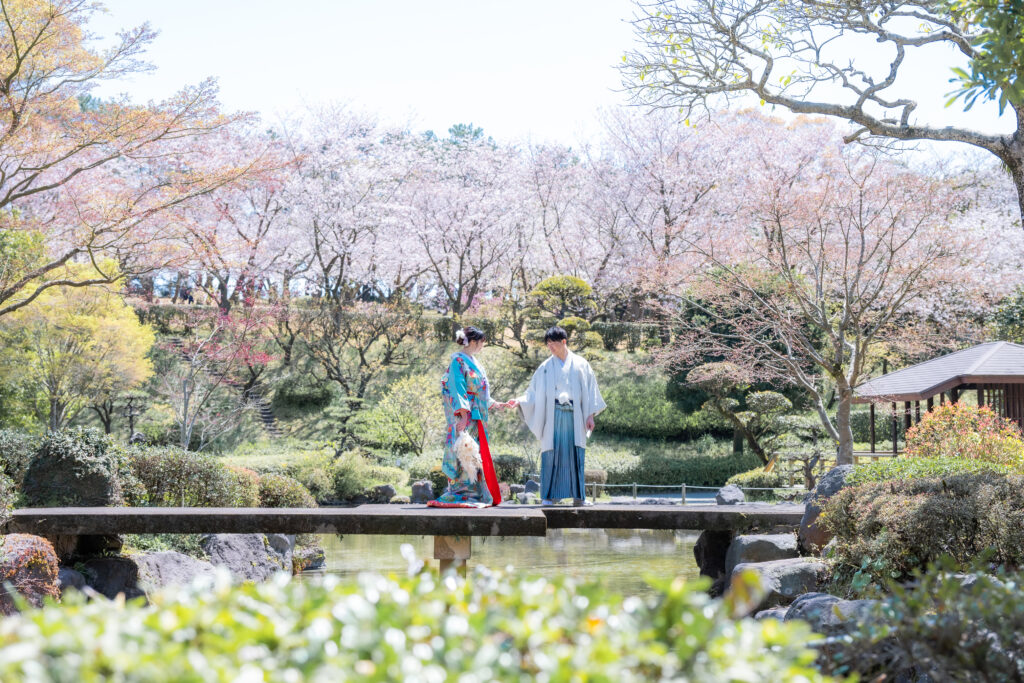 桜の時期ならではのロケーション撮影