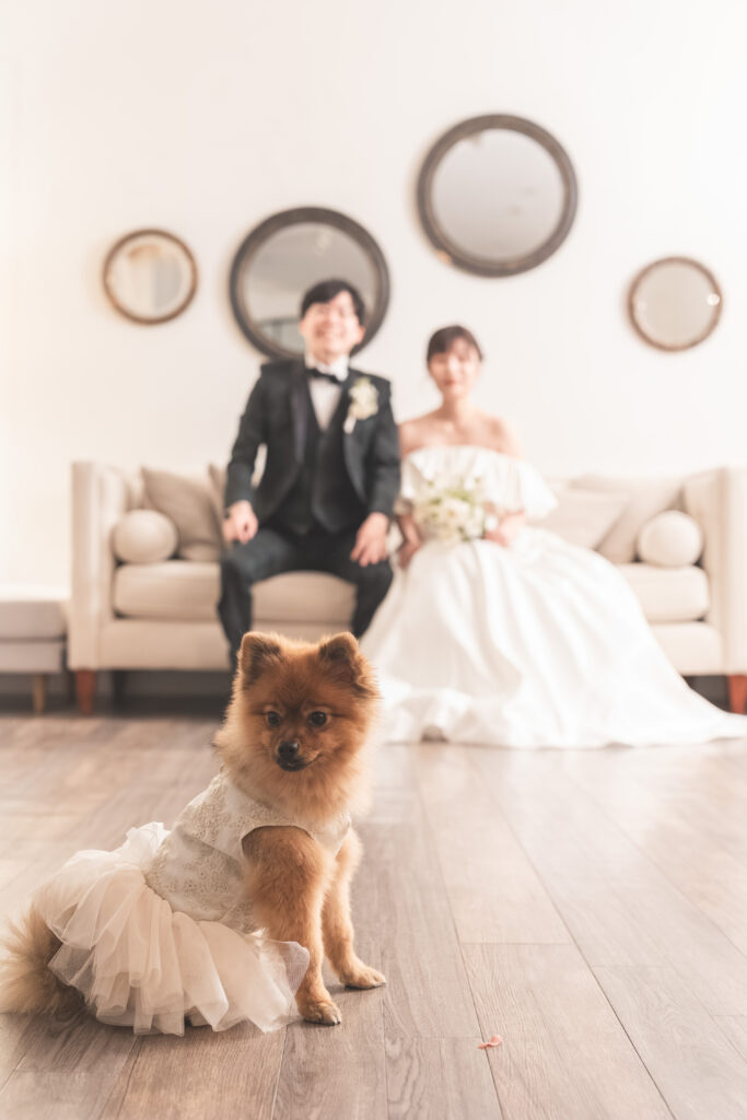 「わんことお子様と一緒に♡家族みんなで楽しむフォトウエディング」